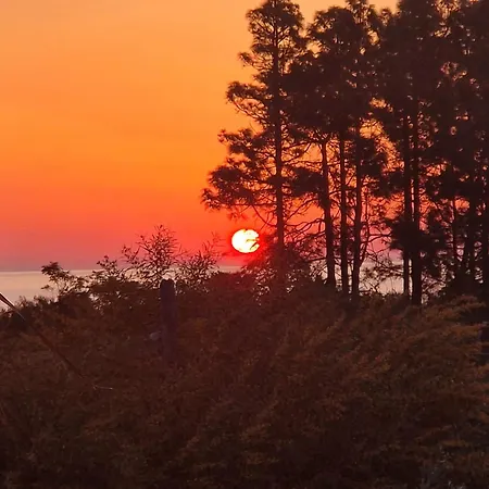 Casa Sinzias Con Piscina 9 Posti Letto